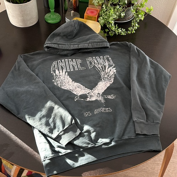 Anine Bing Rowe Eagle Hoodie in Washed Black - Picture 2 of 6